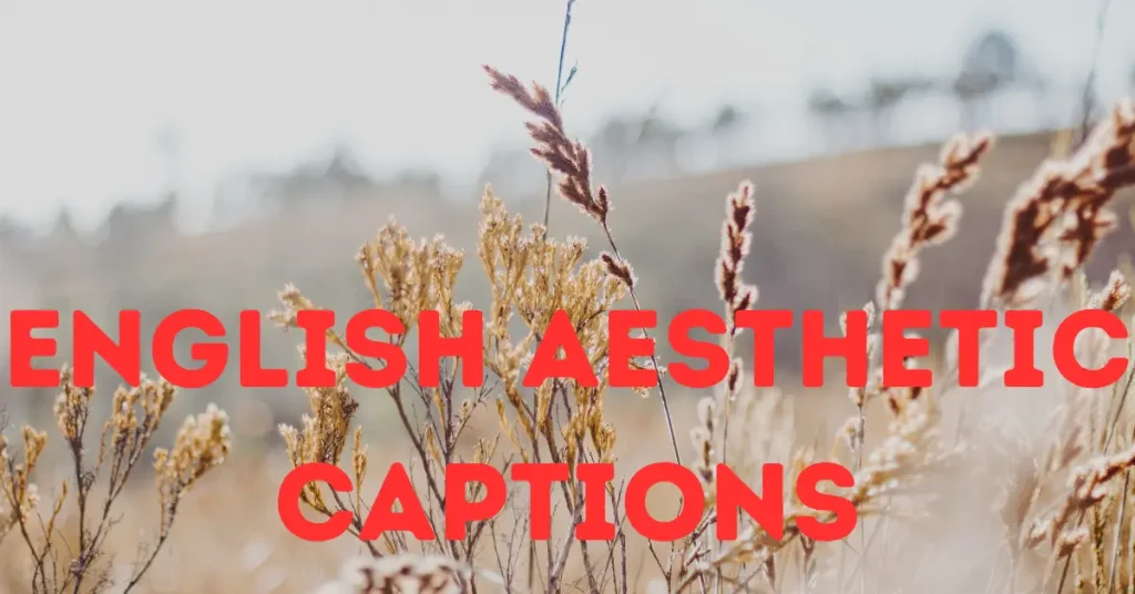 english aesthetic captions