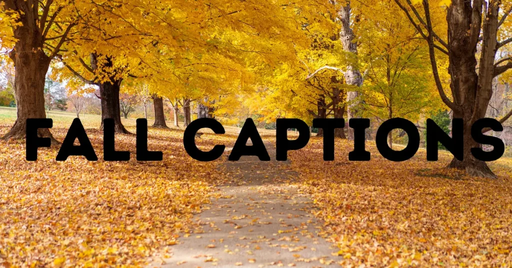 fall captions