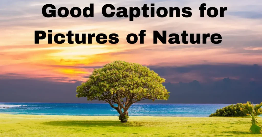 Top 170+ Good Captions For Pictures Of Nature To Elevate Your Posts good captions for pictures of nature