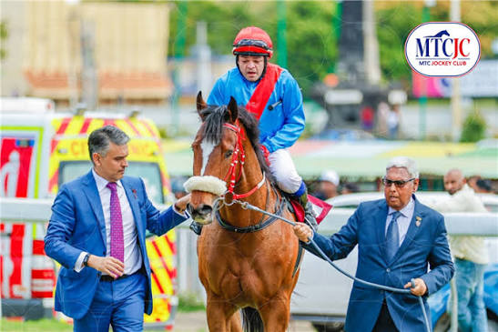 Messiturf10 FR: Your Guide to Turf Racing, Race Insights and Predictions