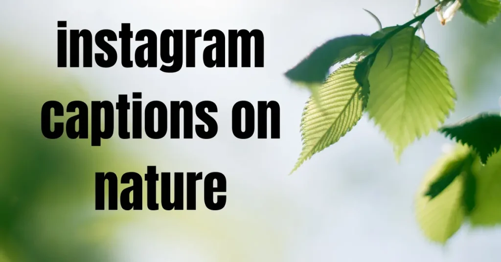 105+ Instagram Captions On Nature To Elevate Your Outdoor Photos instagram captions on nature