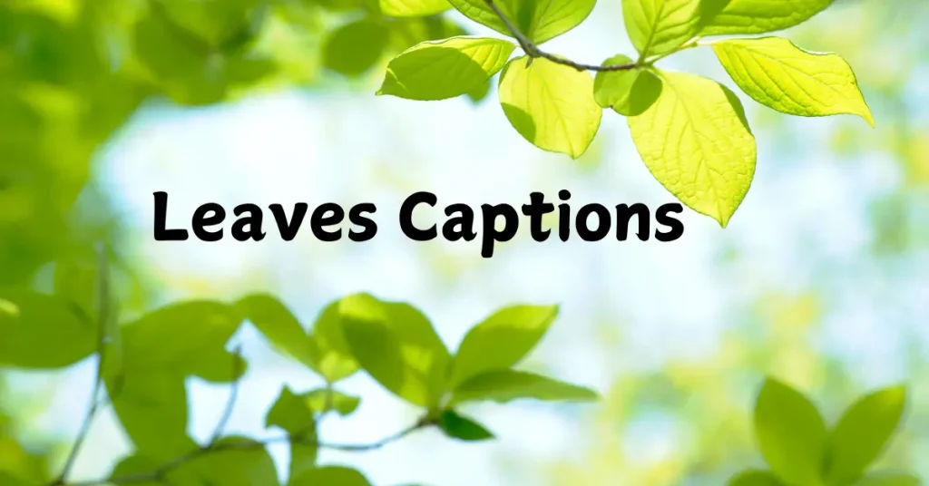 leaves captions