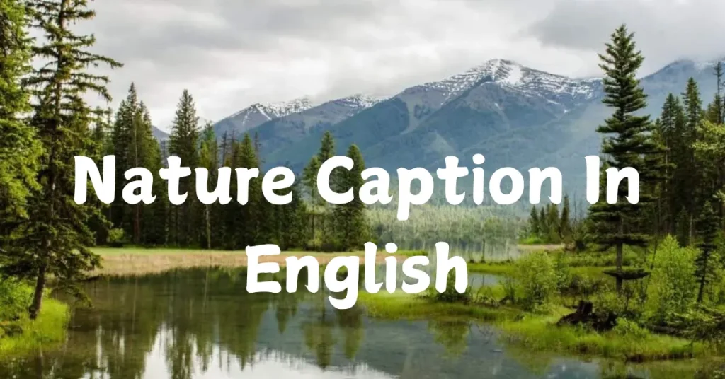 Amazing 170+ Nature Caption In English: Embrace The Beauty Of The Outdoors nature caption in english