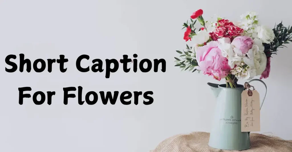 The Best 210+ Short Caption For Flowers To Enhance Your Instagram short caption for flowers